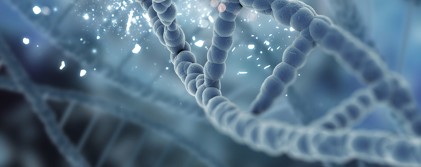 Plasmid Express