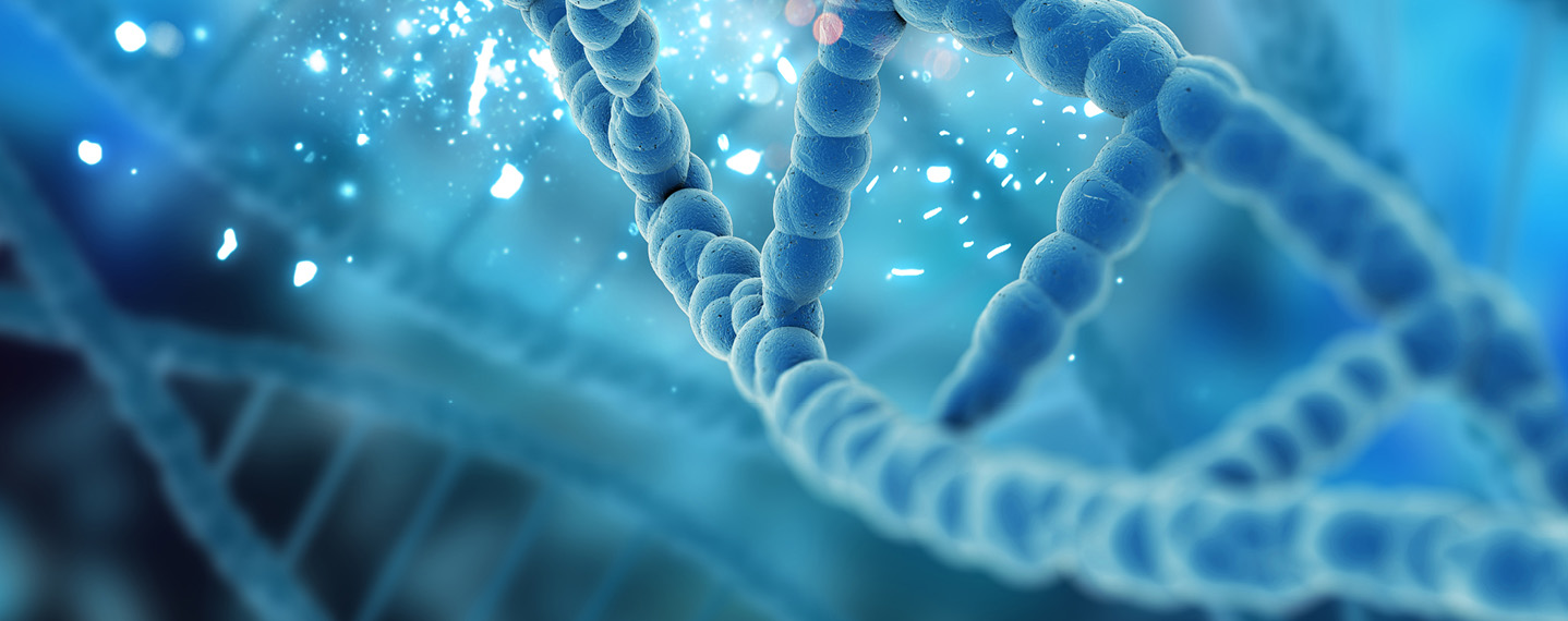 Sanger Sequencing